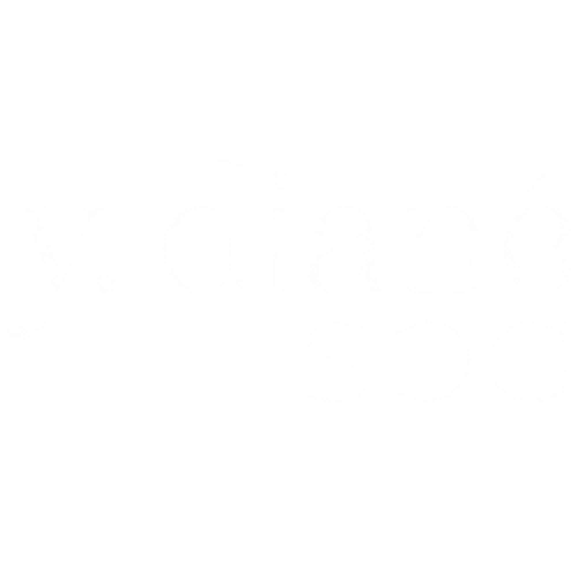 y. diané spa